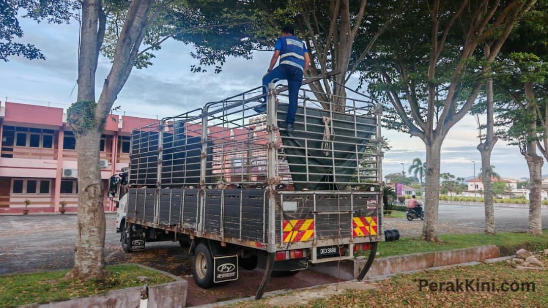 IMG-20260521-WA0017