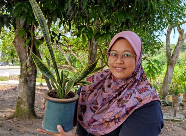 LIDAH JIN HASILKAN PENDAPATAN LUMAYAN