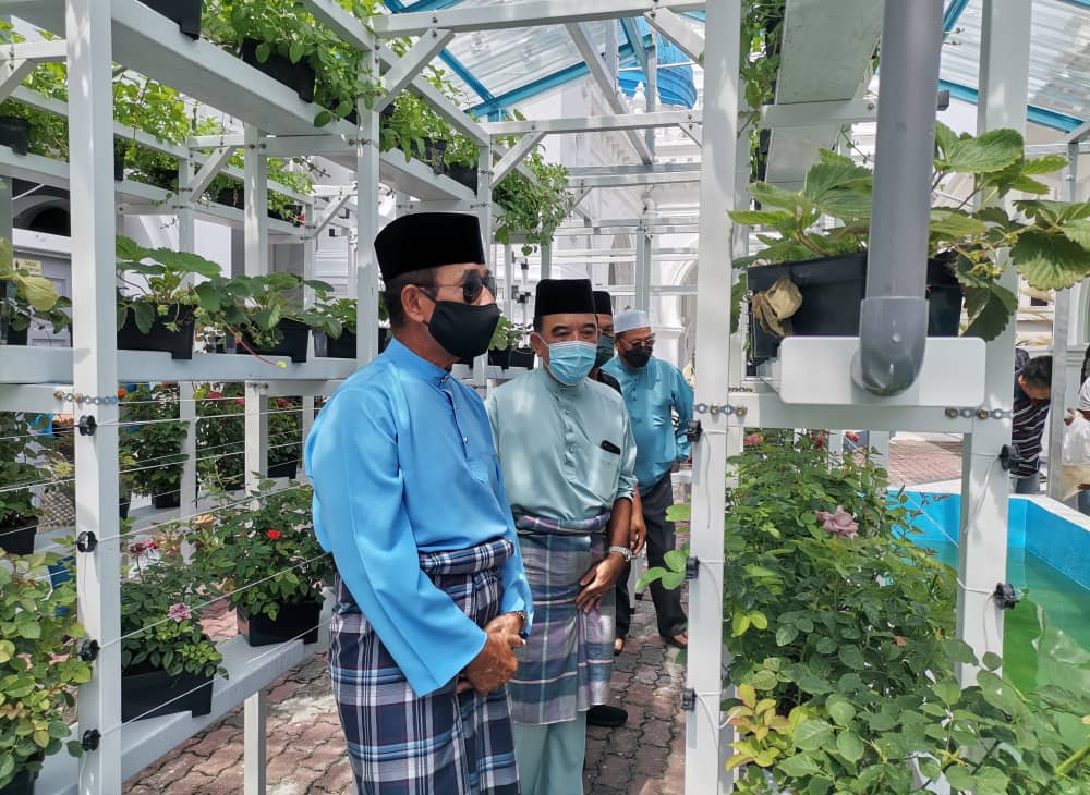 Manfaat ruang masjid: Tanam sayur dan ternak ikan